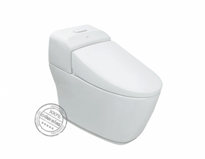 Bồn cầu 1 khối INAX AC-1032VN