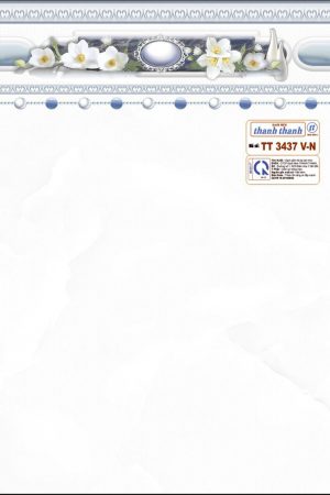 TT25x40