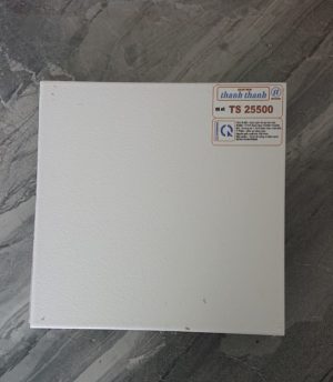TT30x60