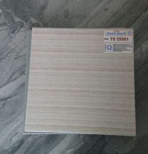 TT30x60